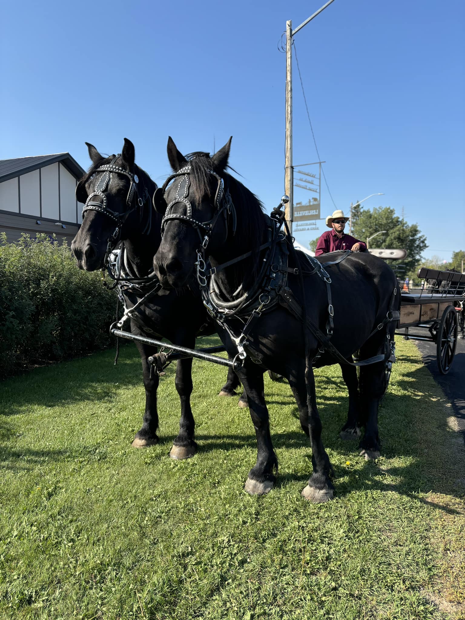 COLGC-Wilson_Farms_horse_event