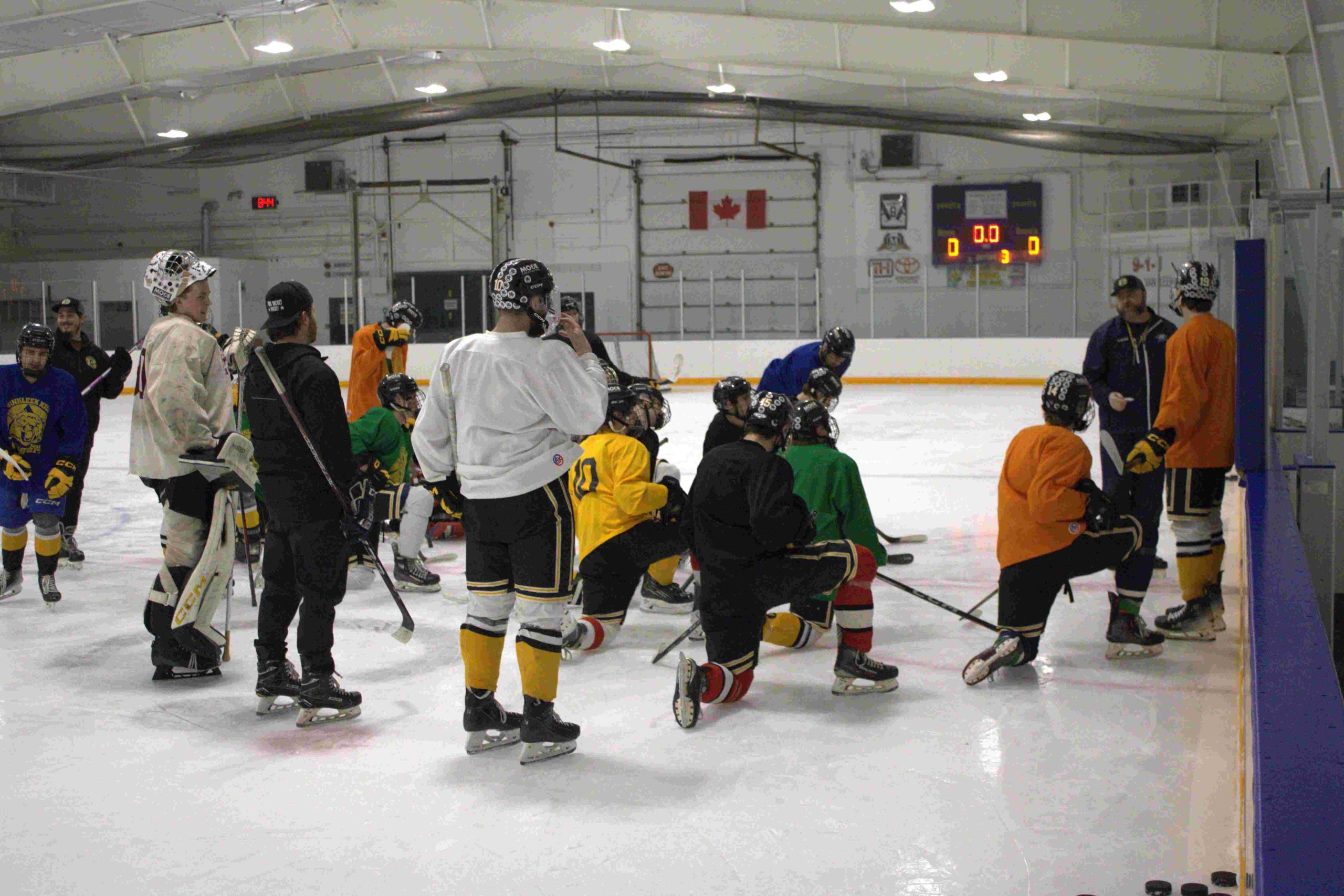 Cougars-Cunning-Tableau-1