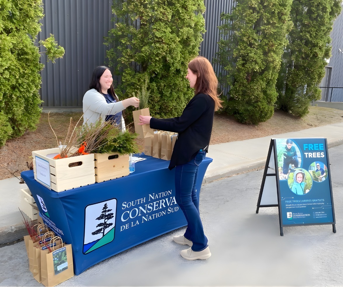 ACTGV_Free tree seedlings available to residents through conservation program