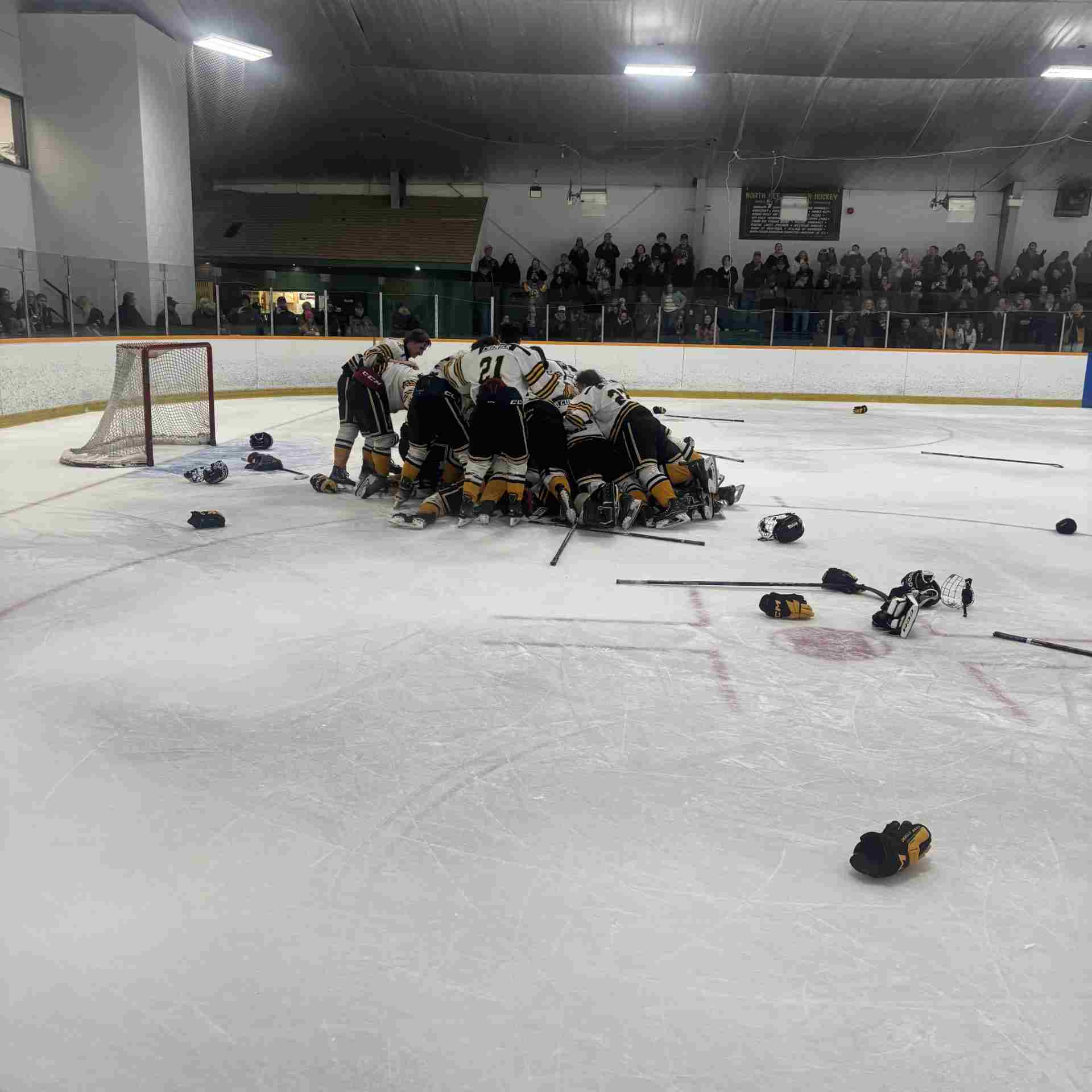 Cougars-celebrent-1000 Cougars-celebrent-1000