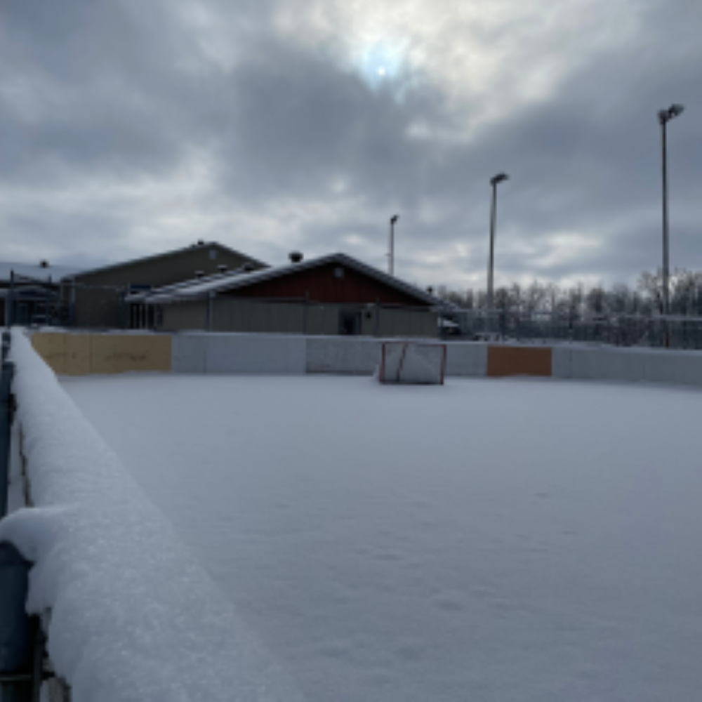 ACTGC-Lefaivre_survey_park_improvement