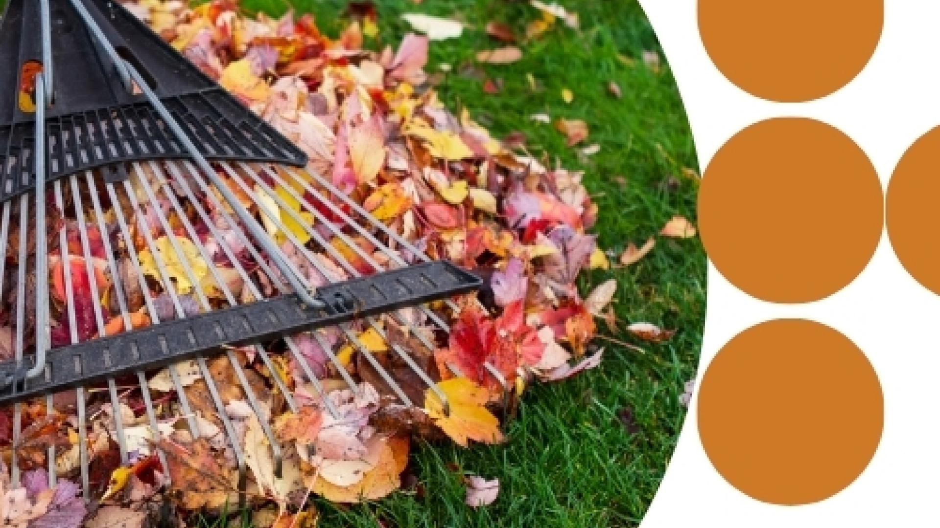 FallCleanup