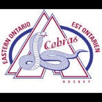 LOGO-COBRAS