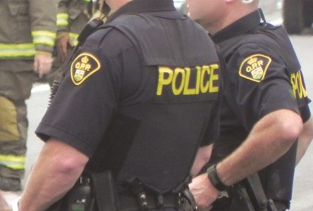 Three arrested in Casselman for fraud
