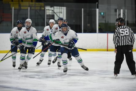 Les Lumber Kings mettent fin à la séquence victorieuse des Hawks