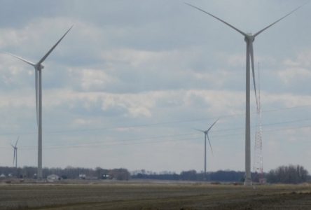 New majority owner of Nation Rise wind farm
