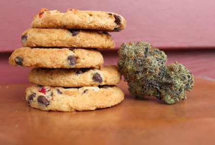 Store edibles properly, says EOHU