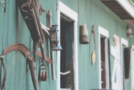 Découvrez l’histoire de votre famille sans qu’il vous en coûte un sou