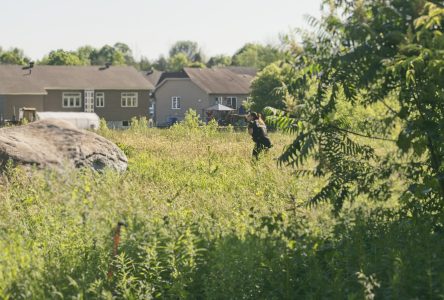 Opération intense de la Sûreté du Québec