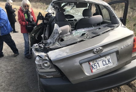 Un déchargement accidentel de pierres provoque une collision