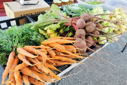 Farmers’ market moves indoors