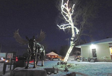 The L’Orignal moose lights up