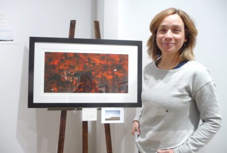 Exposition sur les paysages habités à la Maison de la culture