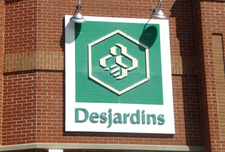 Desjardins : 1,8 million de nouvelles victimes