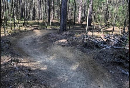 Les sentiers de la Forêt Larose ouverts ce weekend