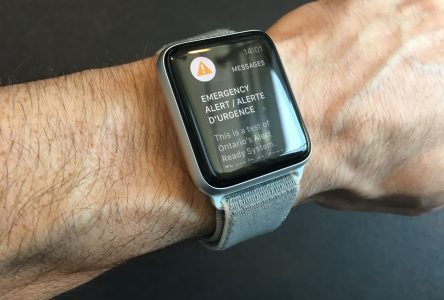 Système d’alerte du public: que faire si vous recevez une alerte d’urgence