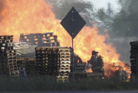 Un incendie spectaculaire détruit des camions et des palettes