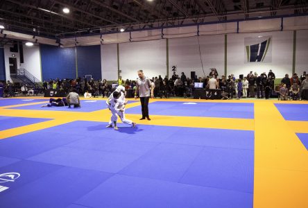 Jiu jitsu: tout un rendez-vous