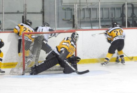 Cougars come to end of their hockey season