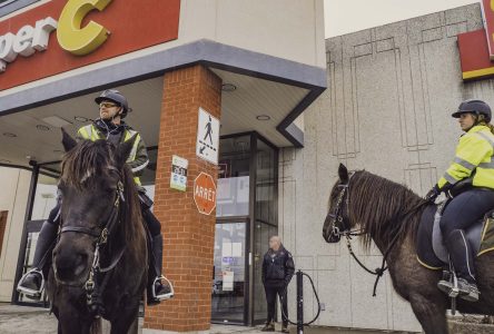 La SQ sort la cavalerie