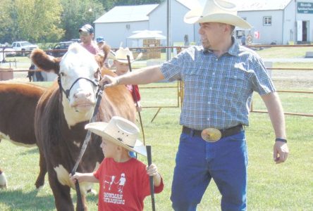 Farm fairs are back