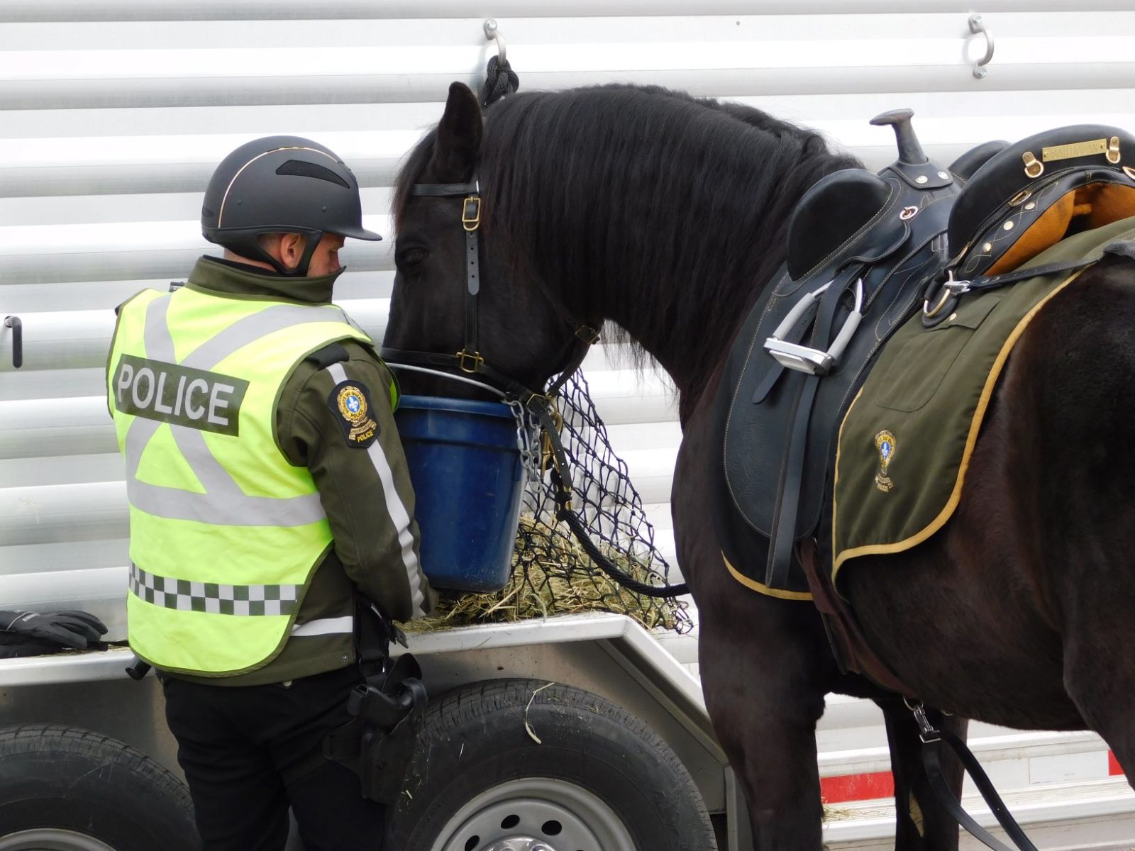 SQ mounted patrol pays a visit to Grenville