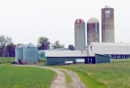 Les agriculteurs s’adaptent à la nouvelle réalité