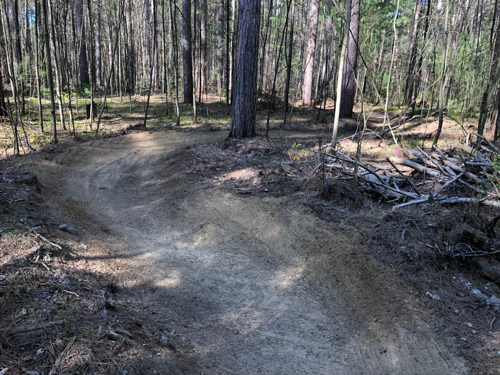Larose Forest trails open for May long weekend