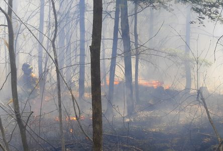 Un risque extrême d’incendies guette la région