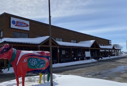 Réouverture de l’usine de la Fromagerie Saint-Albert