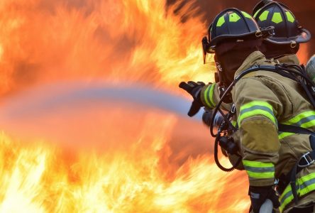 Un feu dans les champs de maïs