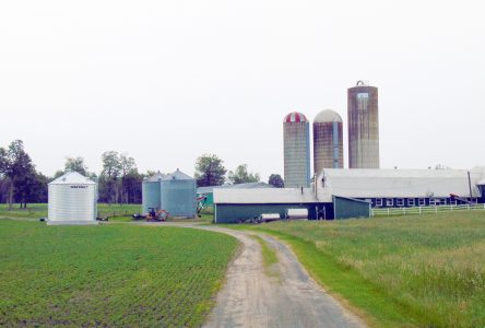 Les agriculteurs s’adaptent à la nouvelle réalité