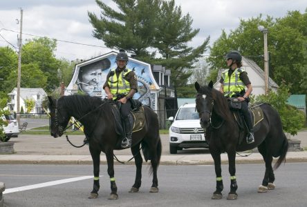 Autos, vélos, chevaux et cadets pour contrôler la vitesse