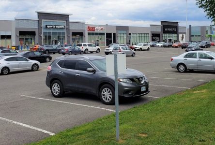 La Plaza Harden se transformera en cinéparc, l’espace de quelques jours