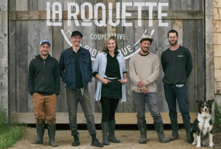 Ferme coopérative La Roquette : verts et mûrs