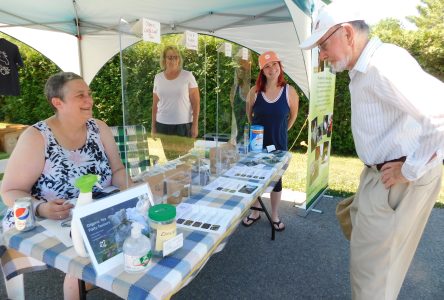 Farmers Market returns for summer