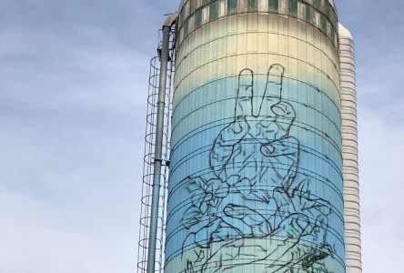 Deux nouvelles œuvres sur silos de ferme