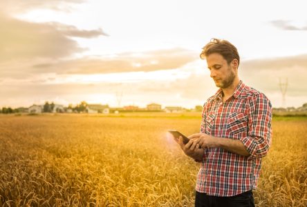 De nouveaux emplois offerts dans les collectivités rurales