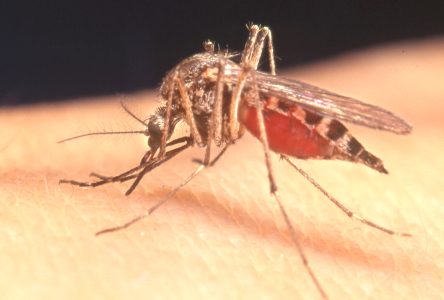 West Nile virus season warning