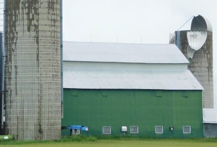 Plusieurs dommages à la suite d’une tempête vendredi soir