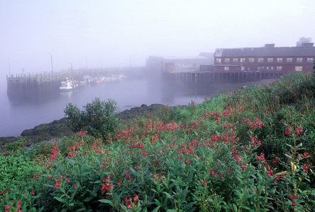 Campobello, la vie entre le Nouveau-Brunswick et le Maine