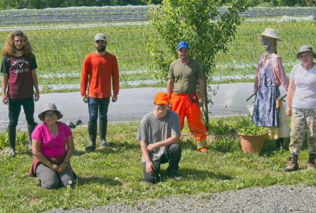 Le jardin communautaire pousse malgré tout