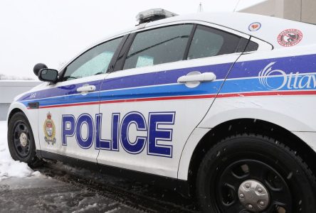 Ottawa police not blamed for injury accident