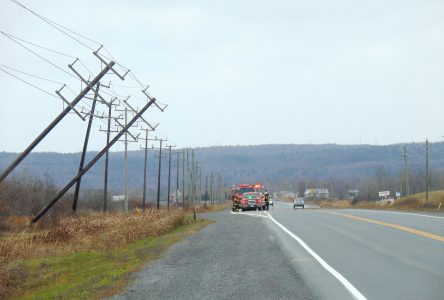 Wind storm leaves its mark throughout the region