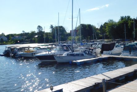 Champlain seeking marina operator