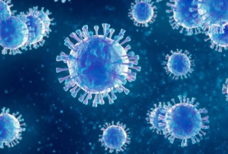 Premier cas de coronavirus dans la région