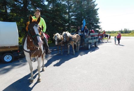 Une belle journée pour faire une promenade à cheval