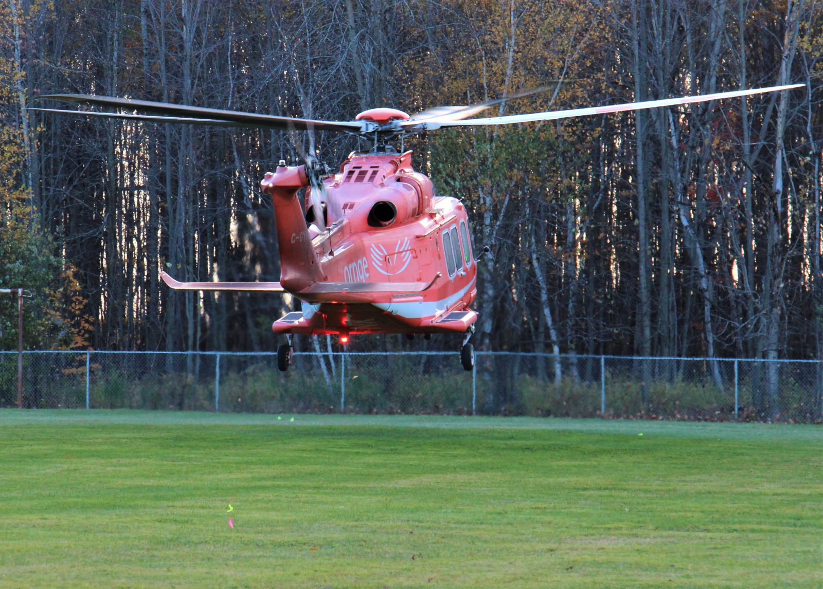 Man airlifted after tree fall