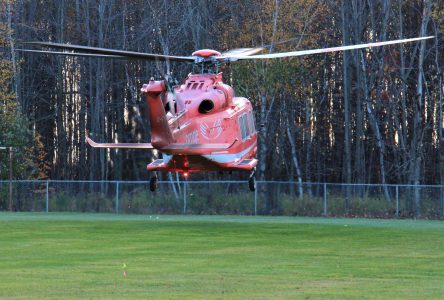 Man airlifted after tree fall