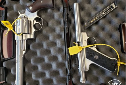 Stolen handguns recovered in Hawkesbury